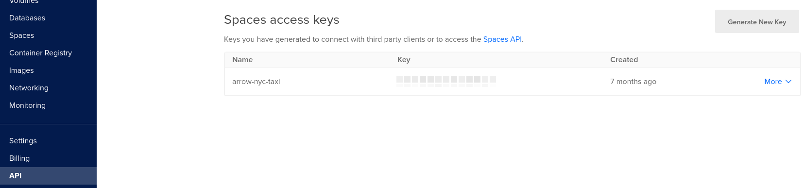 Spaces access keys